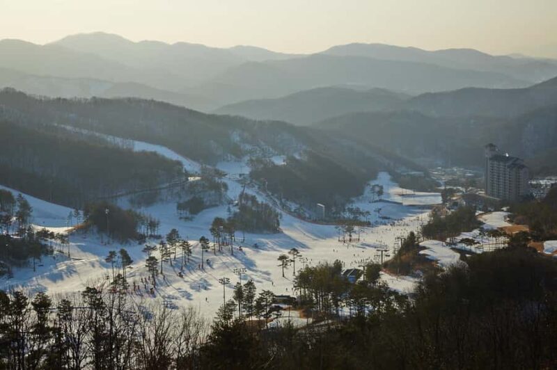 Seoul: Oak Valley Ski Resort Tour with Lesson&Ticket&shuttle - Final Thoughts
