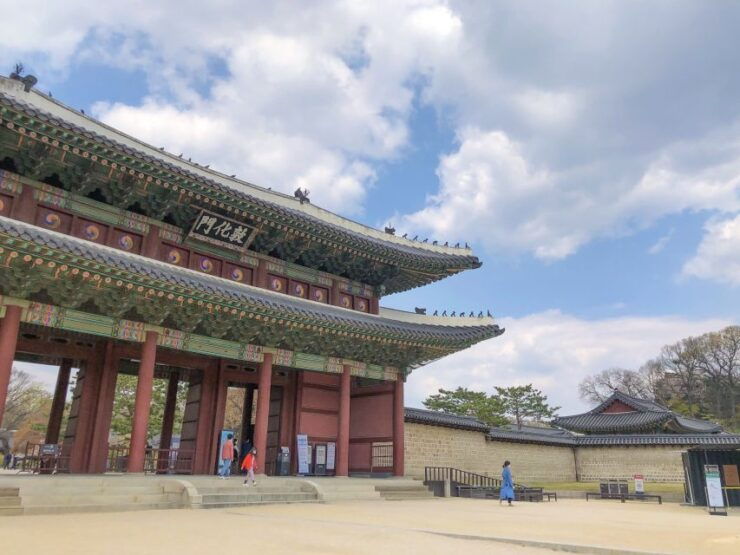 Seoul Outdoor Escape Games: Zombie Royals - Activity Overview