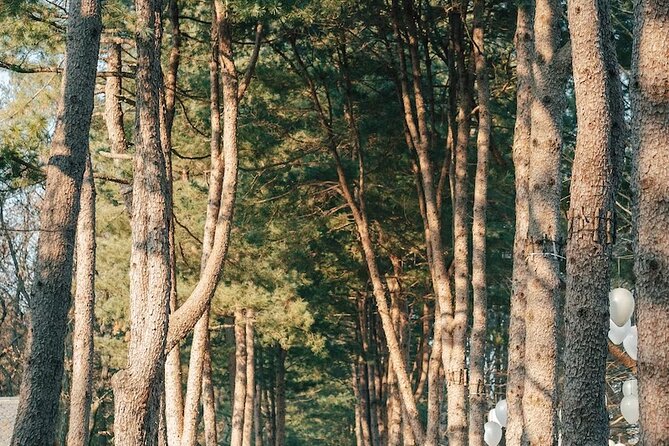 Seoul Outskirts: 10-hour Customize and Private Tour From Seoul - Additional Information