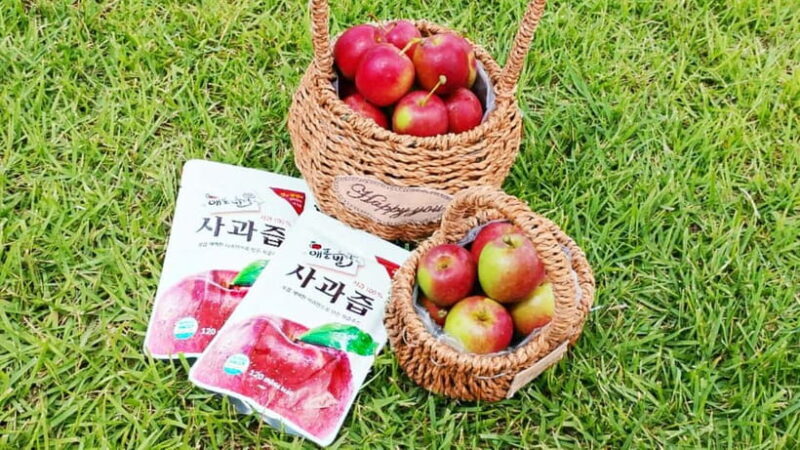 Seoul: Pocheon Art Valley, Garden and Fruit Picking Day Tour - Authentic Experiences and Special Moments