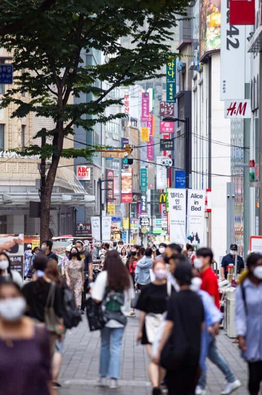 Seoul Private Car & Driver  9h Custom Day with Pickup - Frequently Asked Questions