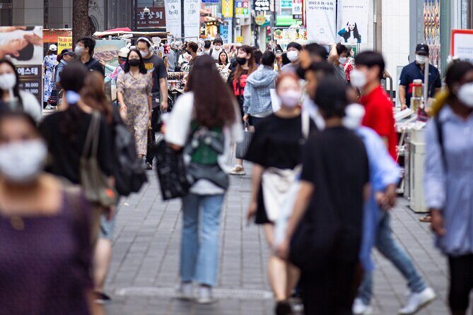 Seoul Private Car & Driver  9h Custom Day with Pickup - FAQ  