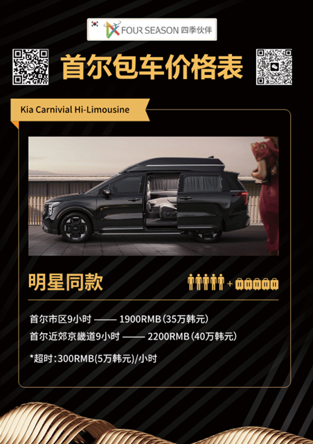 Seoul: Private Chartered Vehicle Carnival Van City Tour - Pricing Details