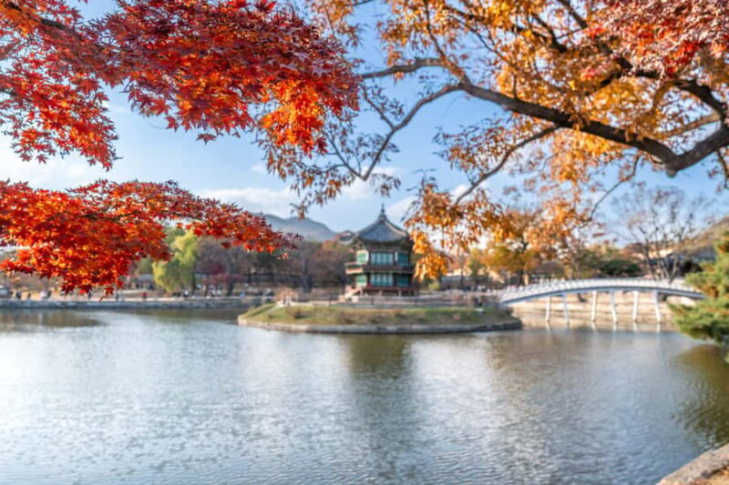 Seoul: Private City Tour with Guide and Photos - Final Thoughts