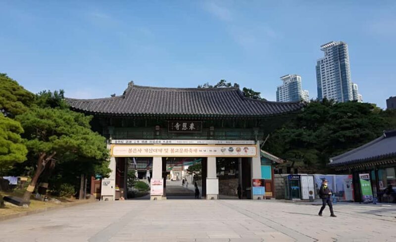 Seoul: Private Guided Tour to Royal Tombs, Temples, and More - The Sum Up