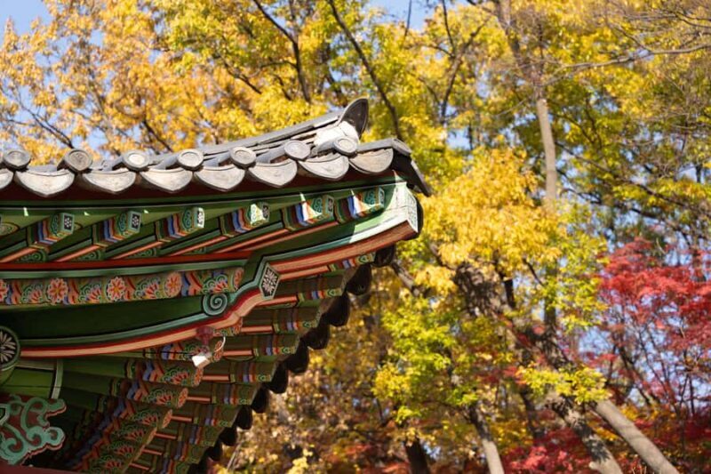 Seoul Private Layover Tour from the Airport with a Local - Who Will Love This Tour?