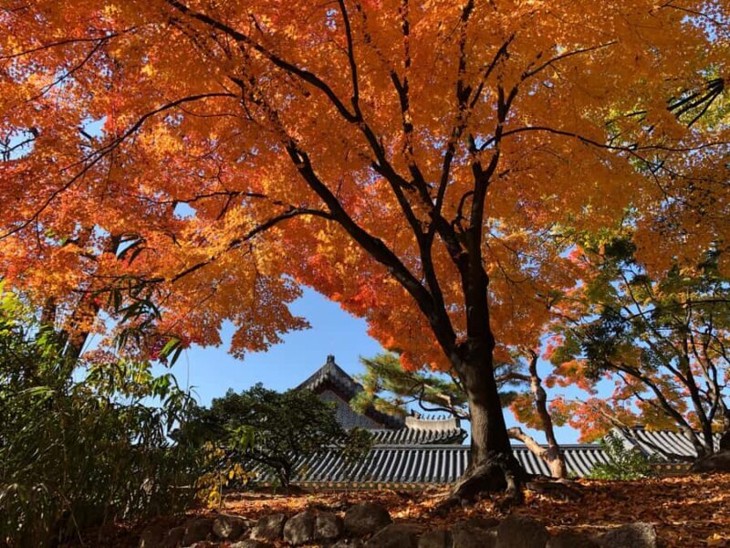 Seoul Private Layover Tour from the Airport with a Local - Good To Know