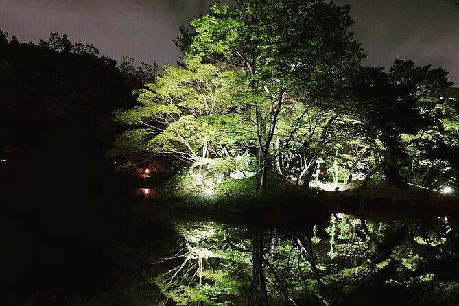 Seoul Private Night Tour: Royal Palace & 5 Street Food Tastings - Final Thoughts