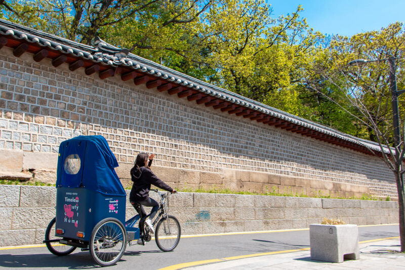 Seoul: Private Pedicab Tour at Bukchon Anguk Hanok Village - The Role of the Guides