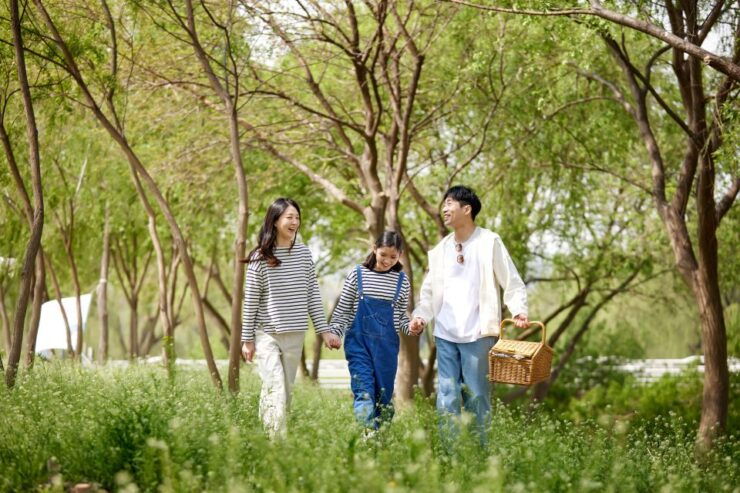 Seoul: Private Photoshoot at Banpo Hangang Park - Activity Details
