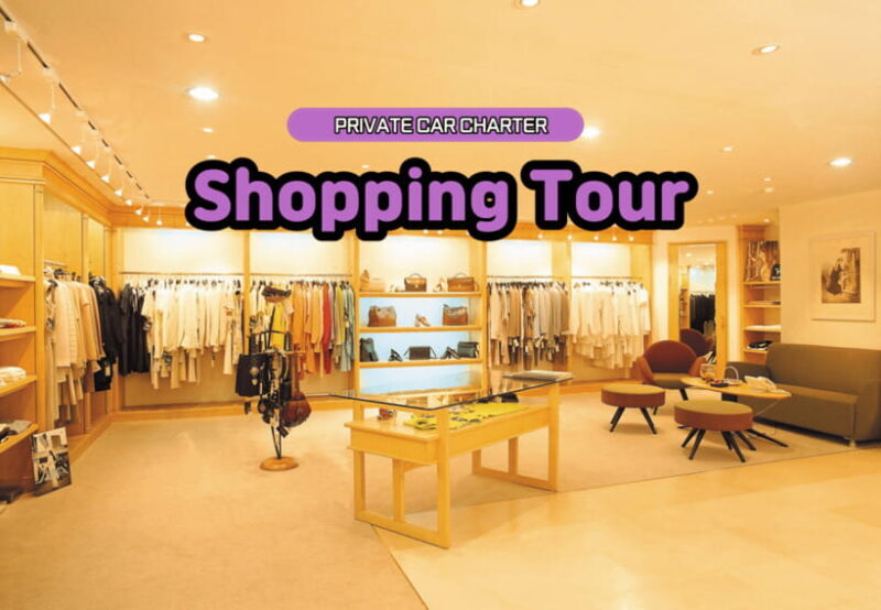 Seoul: Private Shopping Tour - Introduction
