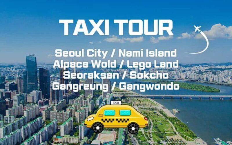 Seoul: Private Taxi Tour Car Charter - Nami Alpaca Seorak - Why Choose a Private Taxi Tour in Seoul?