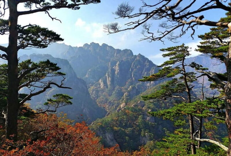 Seoul: Private Taxi Tour Car Charter - Nami Alpaca Seorak - Cost-Effectiveness and Value