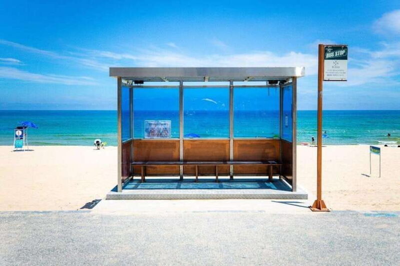 Seoul: Private Taxi Tour Car Charter - Nami Alpaca Seorak - FAQs