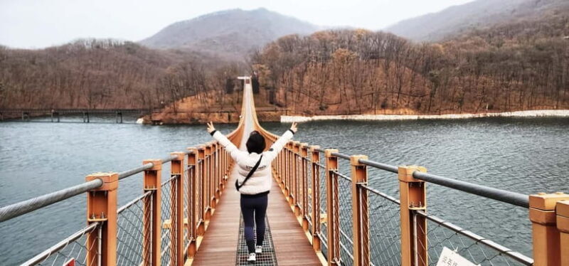 Seoul: Private Taxi Tour Car Charter - Nami Alpaca Seorak - Exploring Seoul and Beyond in Style and Comfort