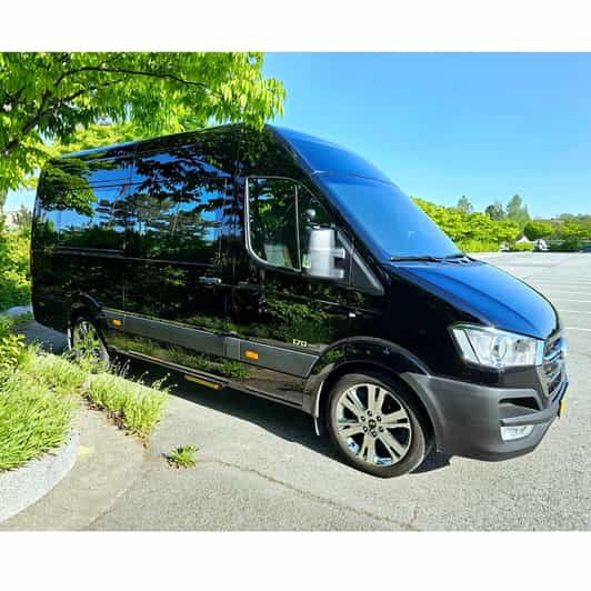 Seoul: Private Transfer To/From Incheon Airport (1-12pax) - Driver Information
