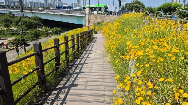Seoul Riverside Walk and Korean-Style Picnic Experience - A Detailed Look at the Seoul Riverside Walk and Picnic Experience