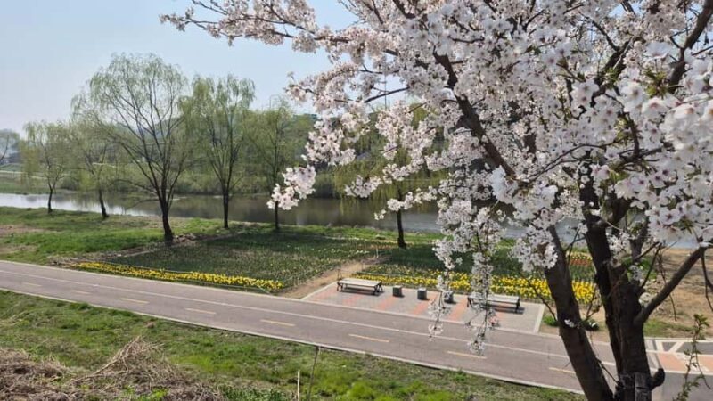 Seoul Riverside Walk and Korean-Style Picnic Experience - FAQ