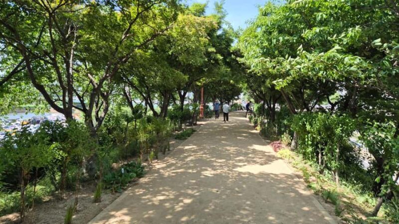 Seoul Riverside Walk and Korean-Style Picnic Experience - The Sum Up