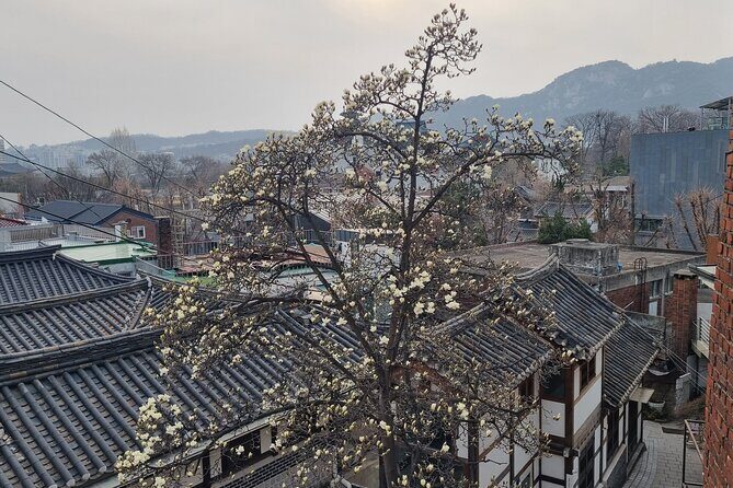 Seoul Royal Palaces and Hidden Gems Customizable Private Tour - FAQ