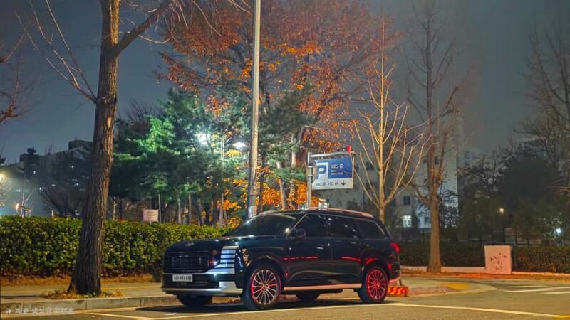 Seoul: Royal Palaces, Iconic Plazas & Local Café Experience - Good To Know