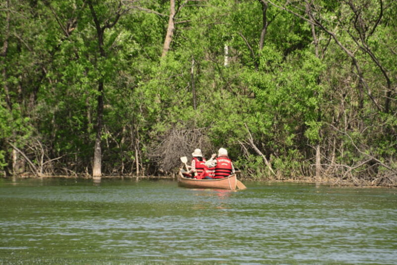 Seoul: Samaksan Cable Car & Nami with Alpaca World/Railbike - Final Thoughts