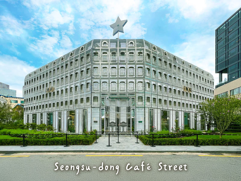Seoul Seongdong-gu Half-Day Small Group City Highlights Tour - Seoul Forest, a green break in the city