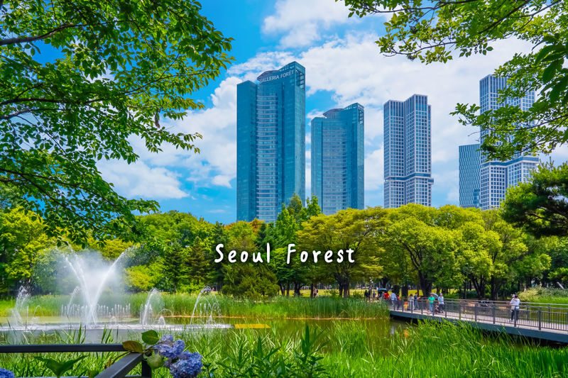 Seoul Seongdong-gu Half-Day Small Group City Highlights Tour - Cafés, pop-ups and Understand Avenue