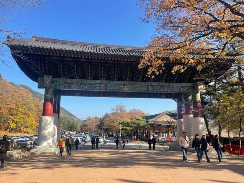 Seoul: Seorak Mountain, East DMZ, and Sokcho Tour - Practicalities and What’s Included