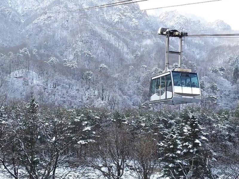 Seoul: Seorak Mountain, Nami Island, Eobi Ice Valley Tour - The Itinerary: What You Can Expect