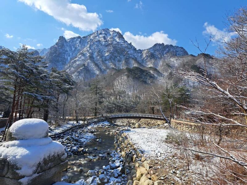 Seoul: Seorak Mountain, Nami Island, Eobi Ice Valley Tour - Practical Details & Value