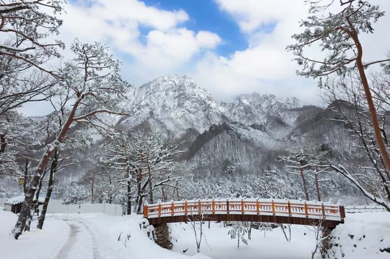 Seoul: Seorak Mountain, Nami Island, Eobi Ice Valley Tour - The Pros and Cons