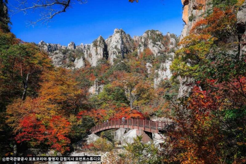 Seoul: Seorak Mountain, Nami Island, Eobi Ice Valley Tour - Final Thoughts: Is This Tour Worth It?