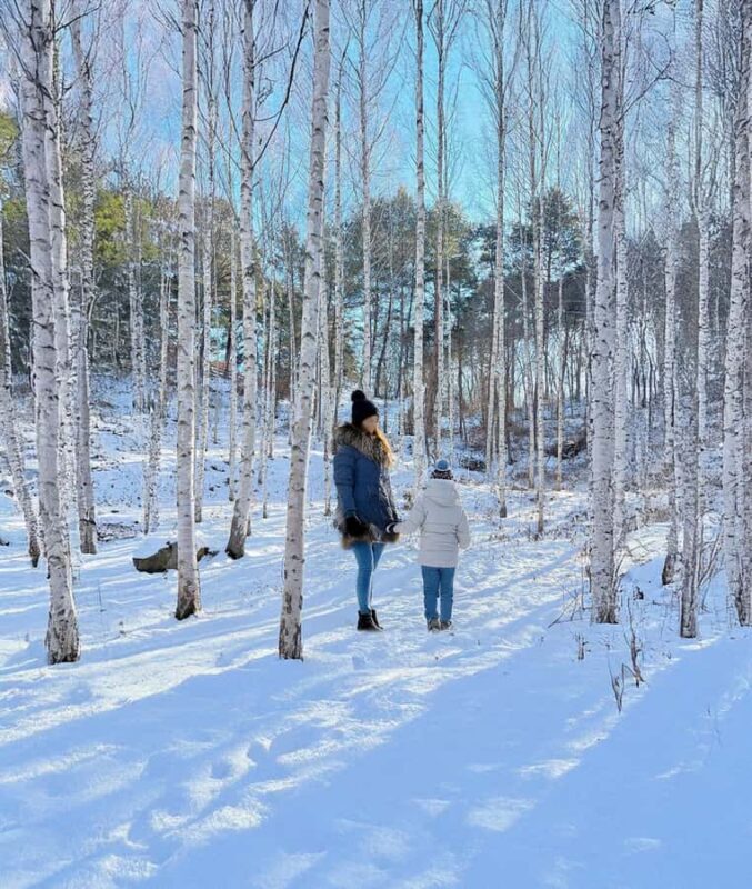 Seoul: Seorak Snowy Birch Forest & Maebawi Icewall Day Tour - Transportation & Group Size