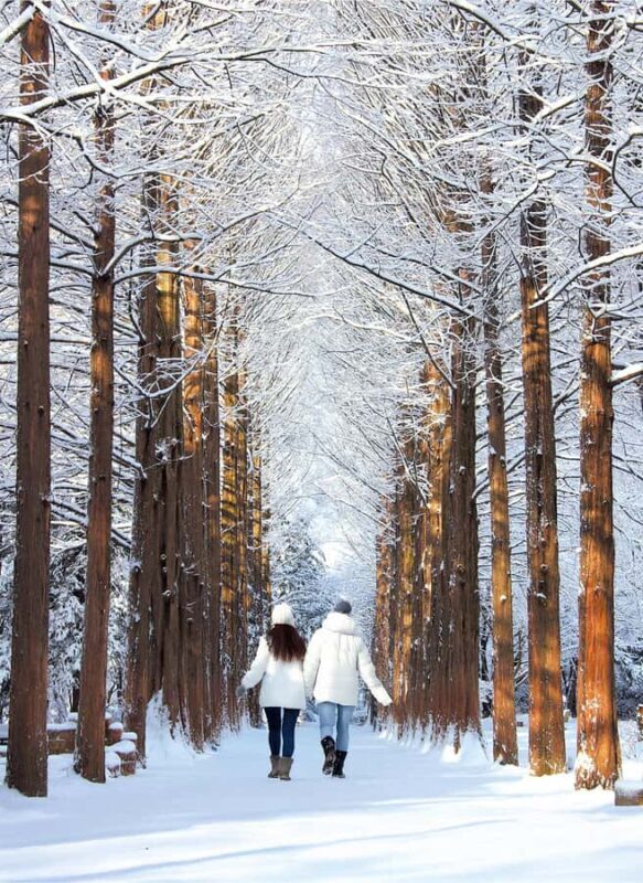 Seoul: Seoraksan National Park & Nami Island - Logistics and Practicalities