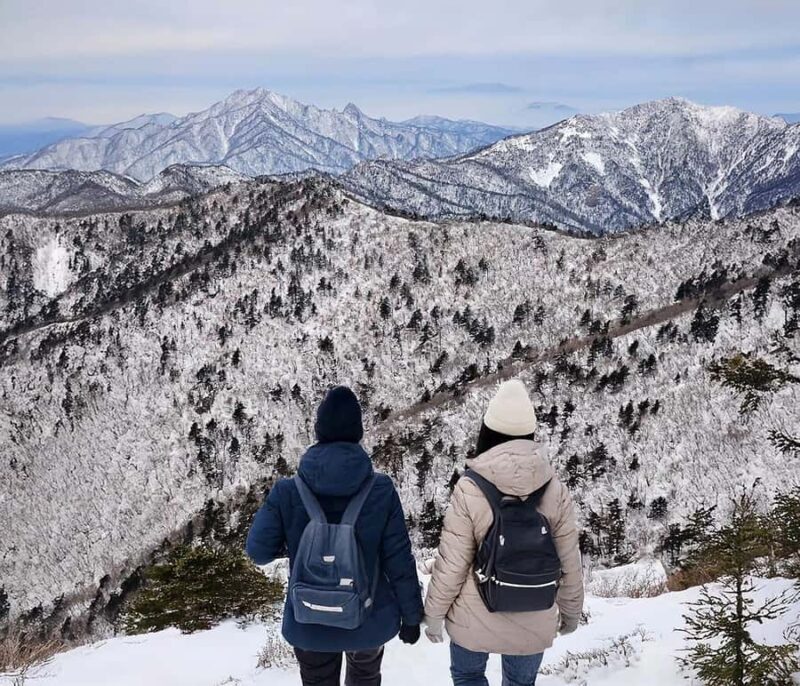 Seoul: Seoraksan National Park & Nami Island - Good To Know