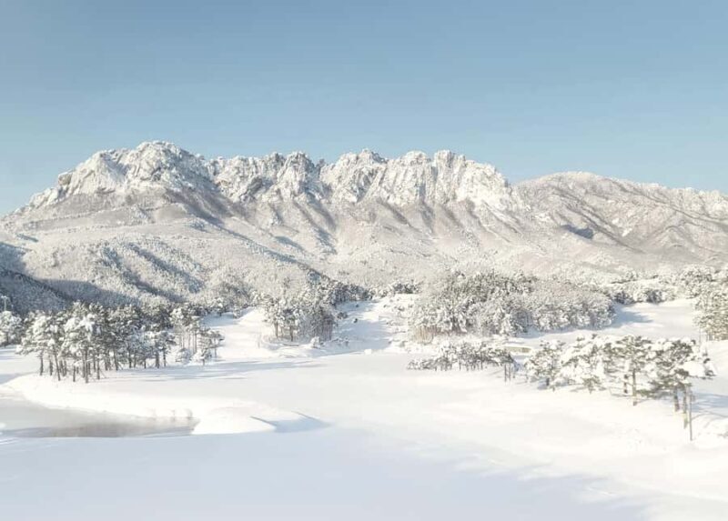 Seoul: Seoraksan National Park & Nami Island - Practicalities & Value