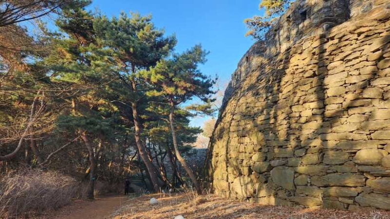 Seoul: Services of a Local for a Day (Paperwork/Tour/Fun) - FAQ