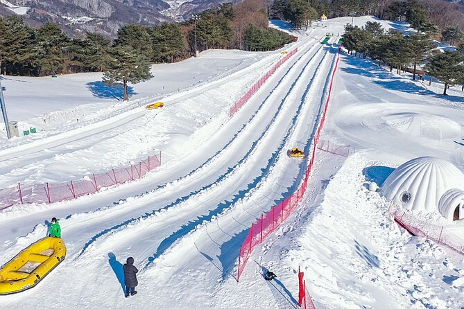 Seoul & Ski Resort (5D4N) - Day 2: Skiing and Snowboarding Adventure