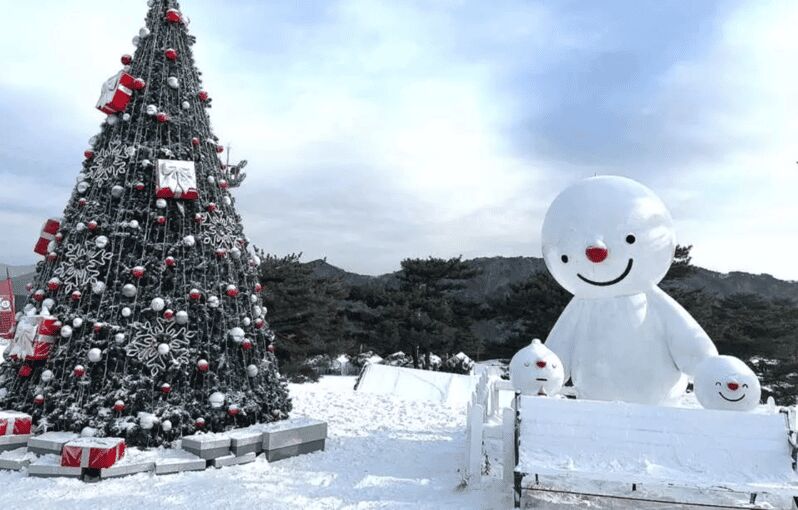 Seoul: SnowyLand in Vivaldi Park with Nami or Alpaca - A Clearly Structured Day of Winter Fun