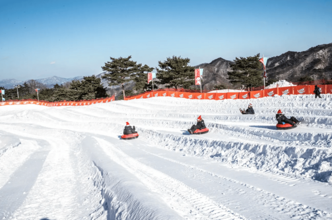 Seoul: Snowyland in Vivaldi Park With Nami or Alpaca - Transportation and Itinerary