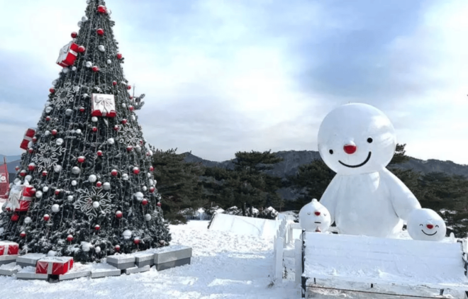 Seoul: Snowyland in Vivaldi Park With Nami or Alpaca - Exploring Nami Island