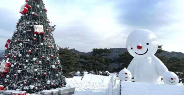 Seoul: Snowyland in Vivaldi Park With Nami or Alpaca - Important Visitor Information