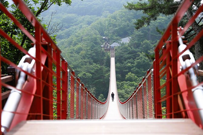 Seoul: South Korea DMZ, Mt. Gamak & Fall Foliage With Lunch - Pricing