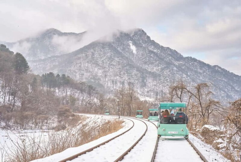Seoul: Strawberry & Eobi Ice Valley & Nami + Optional Spots - Authentic Experiences and Insights from Travelers