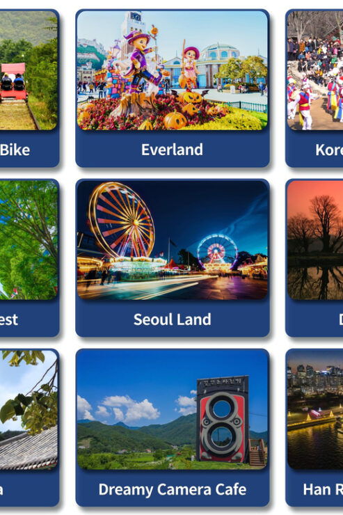 Seoul Subrub: 9HR Car Charter Tour - Pickup and Driver Information