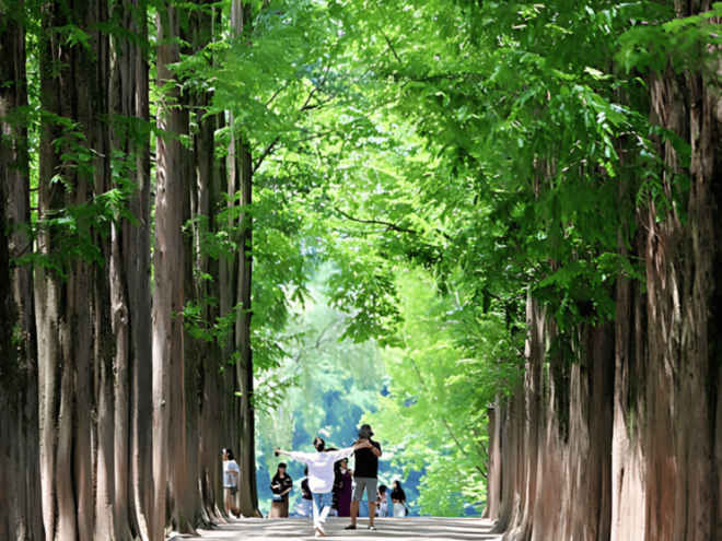Seoul Suburb : Private Car Rental With Driver Day Trip - Important Information to Note