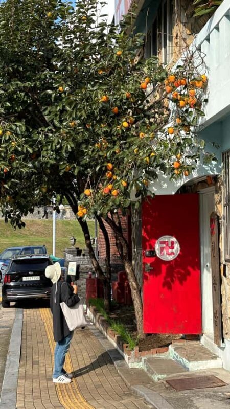 Seoul: Suwon History & Food Tour with Royal Tea and Dessert - Itinerary Breakdown: What You Can Expect