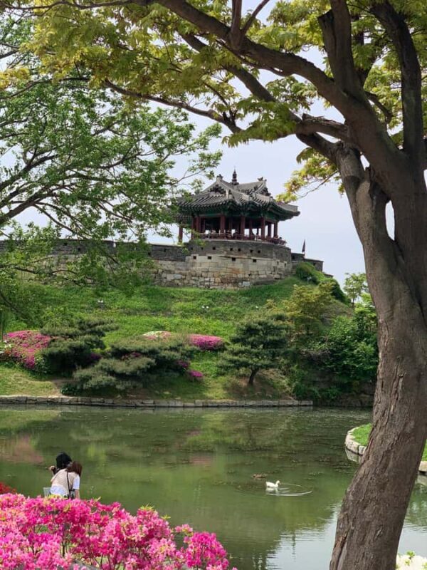 Seoul: Suwon History & Food Tour with Royal Tea and Dessert - Who Will Love This Tour?