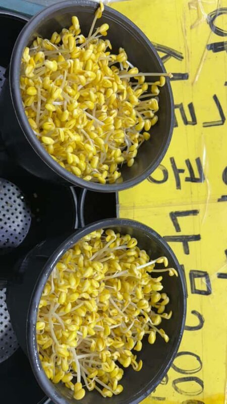 Seoul: Suwon History & Food Tour with Royal Tea and Dessert - FAQ